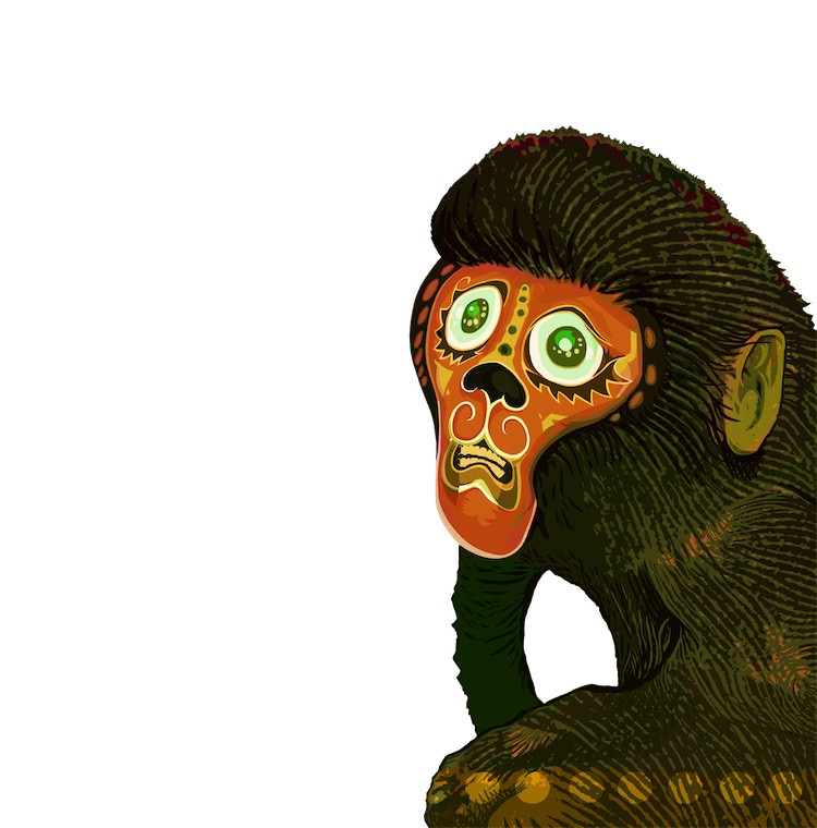 monkey cog face